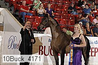10buck_4171 proof
