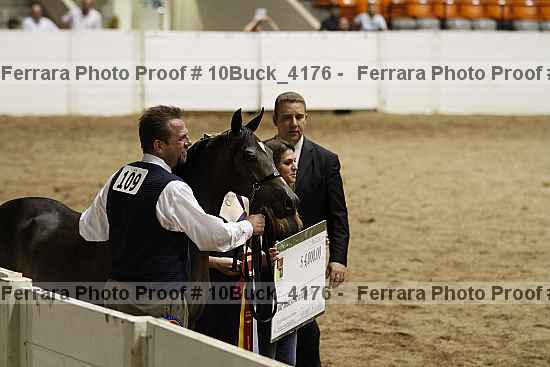 Proof 10buck_4176