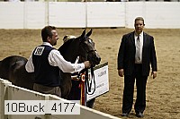10buck_4177 proof