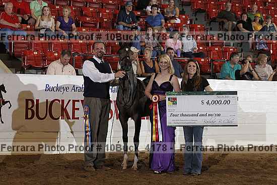 Proof 10buck_4178