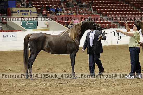 Proof 10buck_4195