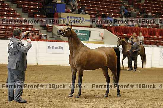 Proof 10buck_4196