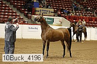 10buck_4196 proof