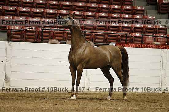 Proof 10buck_4197