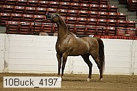 10buck_4197 proof