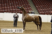 10buck_4198 proof