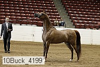 10buck_4199 proof