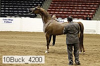 10buck_4200 proof