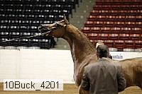10buck_4201 proof