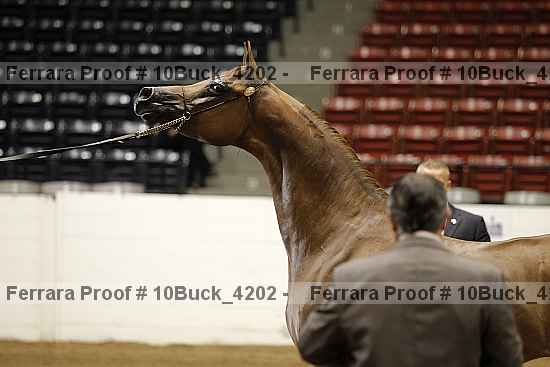 Proof 10buck_4202