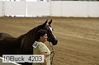 10buck_4203 proof