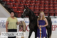 10buck_4205 proof