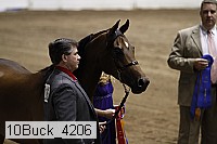 10buck_4206 proof