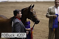 10buck_4207 proof
