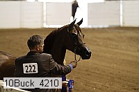 10buck_4210 proof