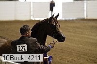 10buck_4211 proof