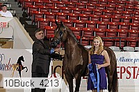10buck_4213 proof