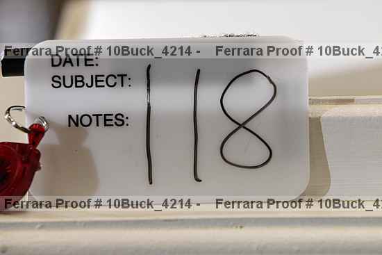Proof 10buck_4214