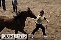 10buck_4215 proof