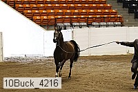 10buck_4216 proof