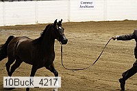 10buck_4217 proof