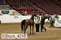 10buck_4218 proof