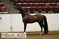 10buck_4220 proof