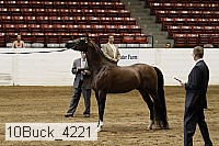 10buck_4221 proof