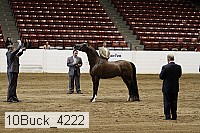 10buck_4222 proof