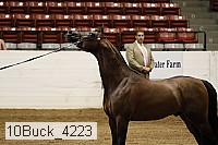 10buck_4223 proof