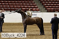 10buck_4224 proof