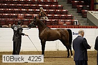 10buck_4225 proof