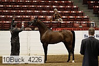 10buck_4226 proof