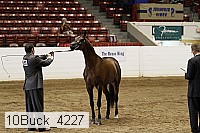 10buck_4227 proof