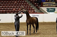 10buck_4228 proof