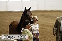 10buck_4230 proof