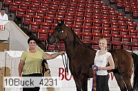 10buck_4231 proof