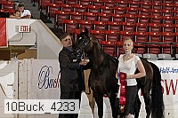 10buck_4233 proof