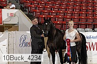 10buck_4234 proof