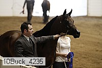 10buck_4235 proof