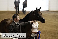 10buck_4236 proof