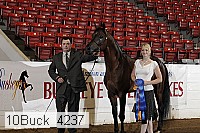 10buck_4237 proof