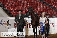 10buck_4238 proof
