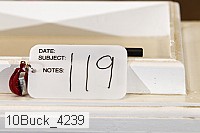 10buck_4239 proof