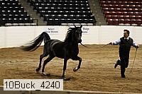 10buck_4240 proof