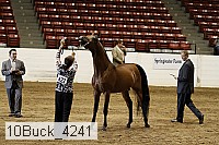 10buck_4241 proof