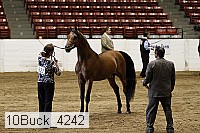 10buck_4242 proof