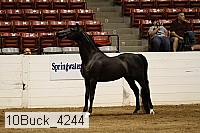 10buck_4244 proof