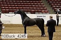 10buck_4245 proof
