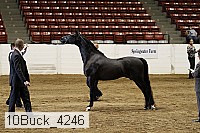 10buck_4246 proof